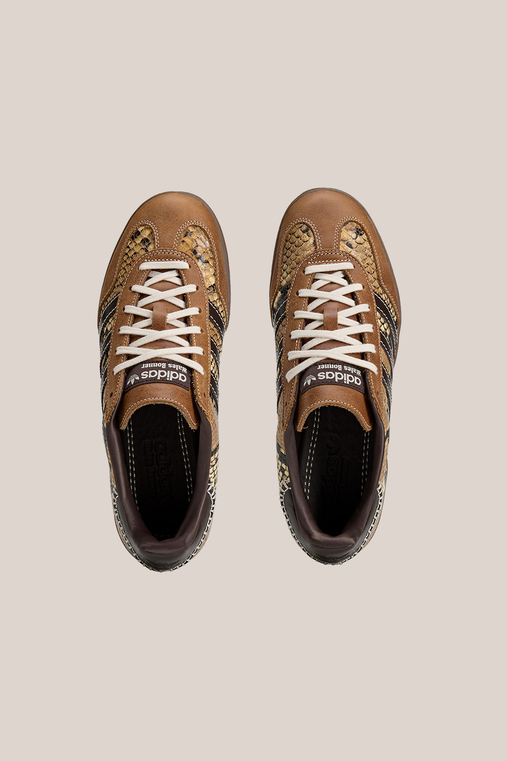 ADIDAS x Wales Bonner Gazelle Snake Sneaker