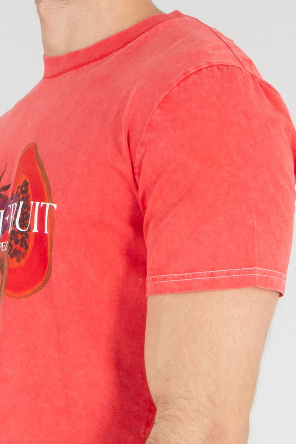 ELITÈ Regular Fit Fruit Graphic Print Cotton Jersey T-Shirt