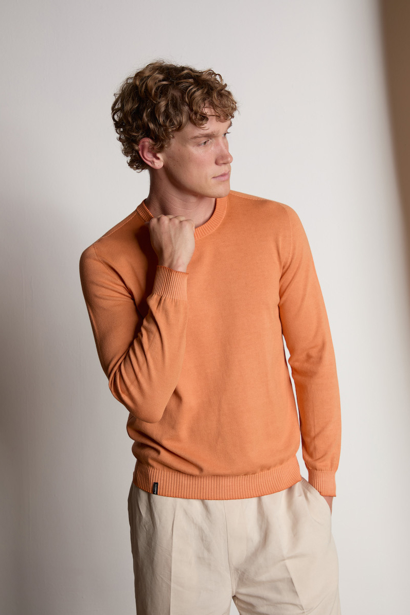 AROVESCIO Regular Fit Cotton Round Neck Sweater
