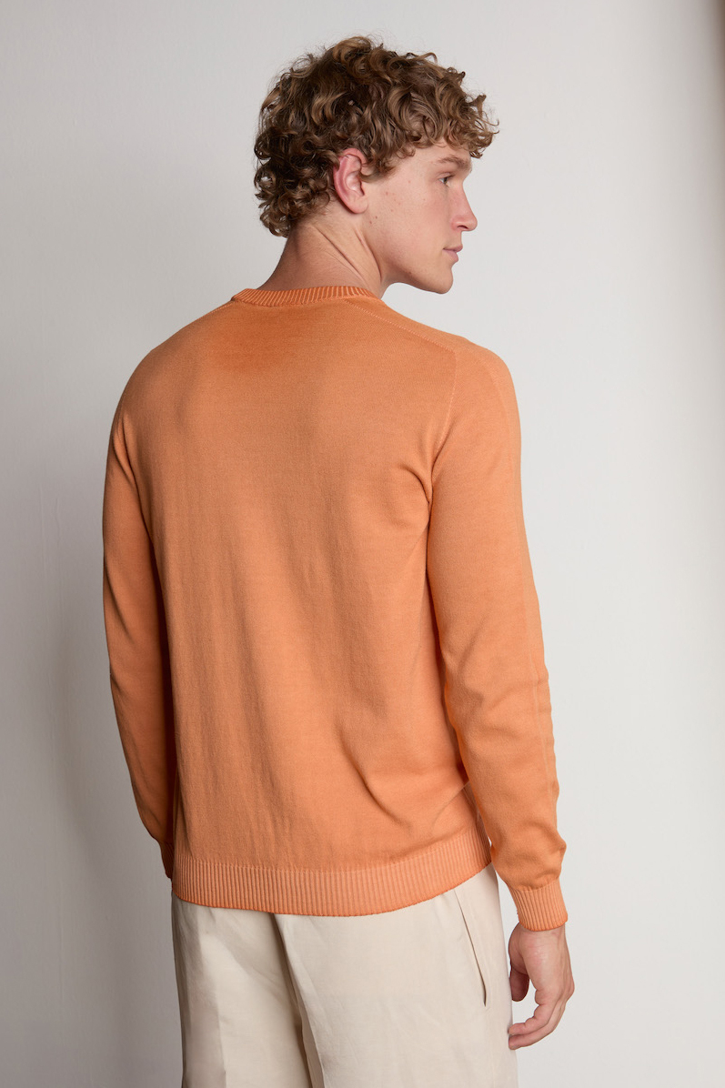 AROVESCIO Regular Fit Cotton Round Neck Sweater