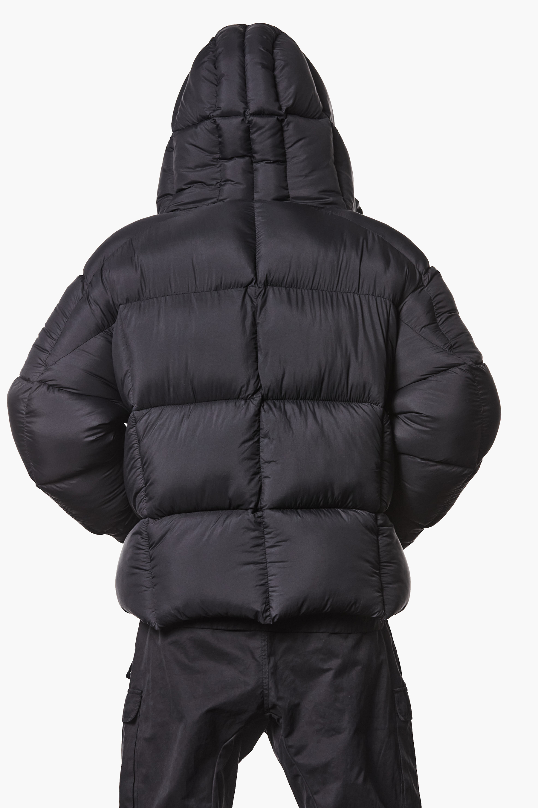 Bekleidung, Mantel, Jacke, Kapuze