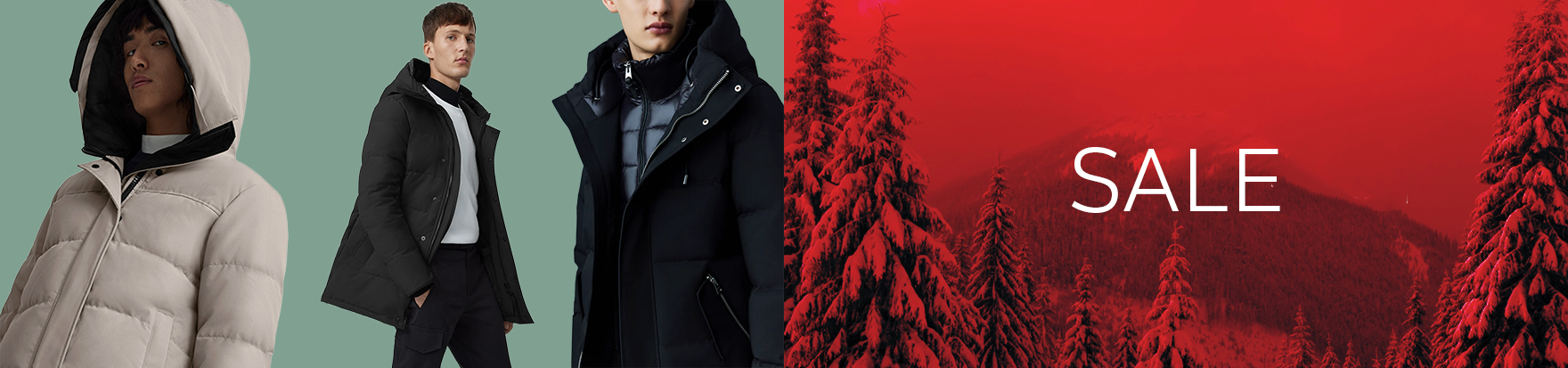 Mantel, Jacke, Modisch, Kapuze, Kapuzenpulli