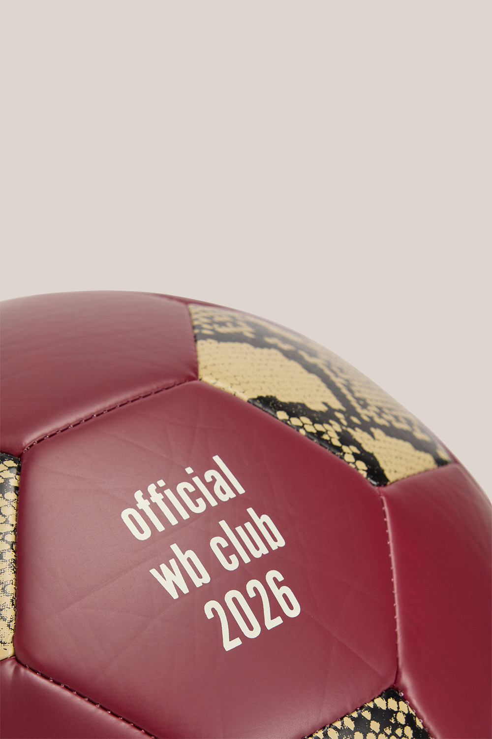 ADIDAS X Wales Bonner Football 