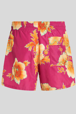 ETRO Patterned Swim Shorts ETRO Patterned Swim Shorts