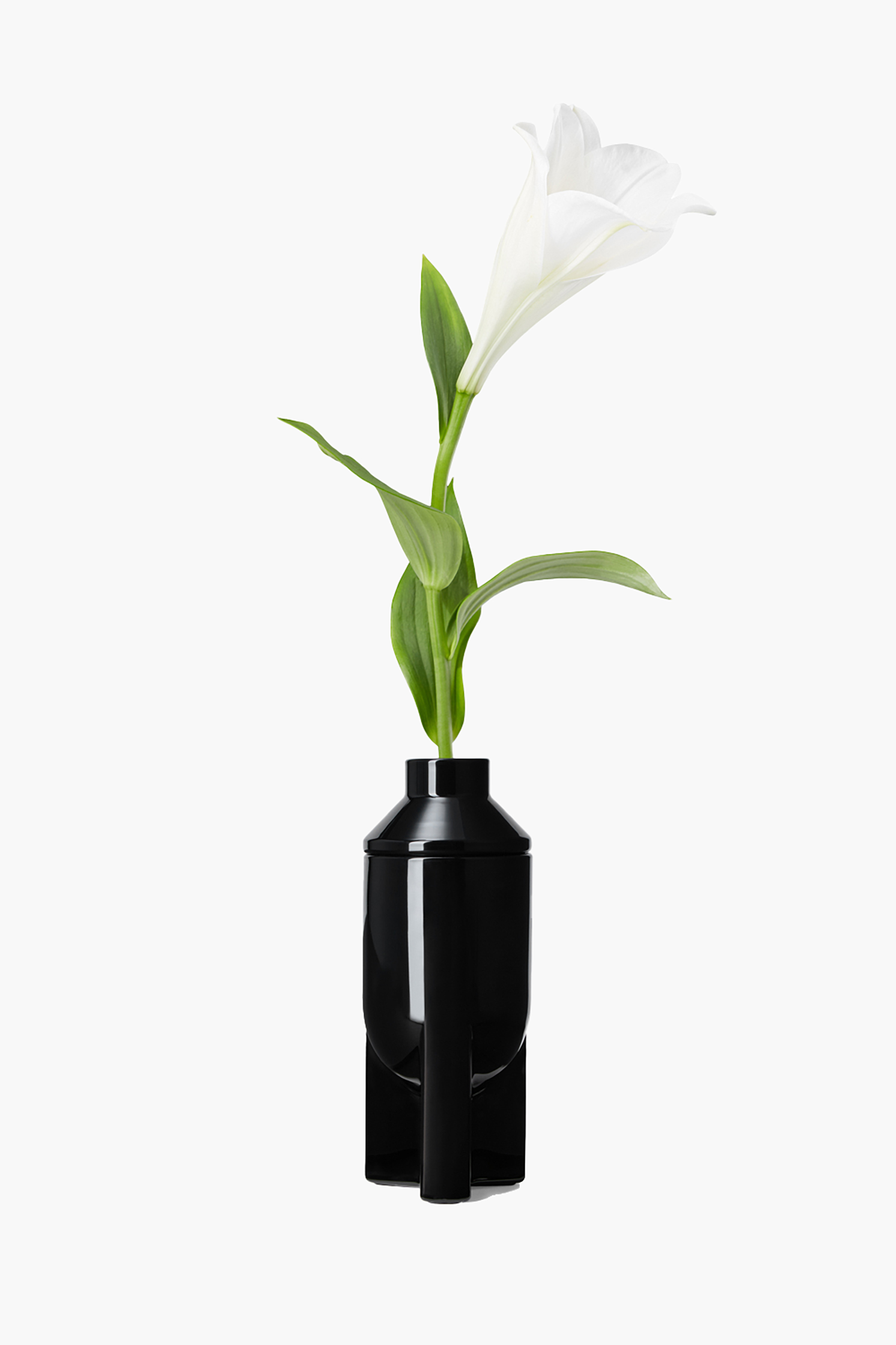 Krug, Töpferei, Vase, Topfpflanze, Blume