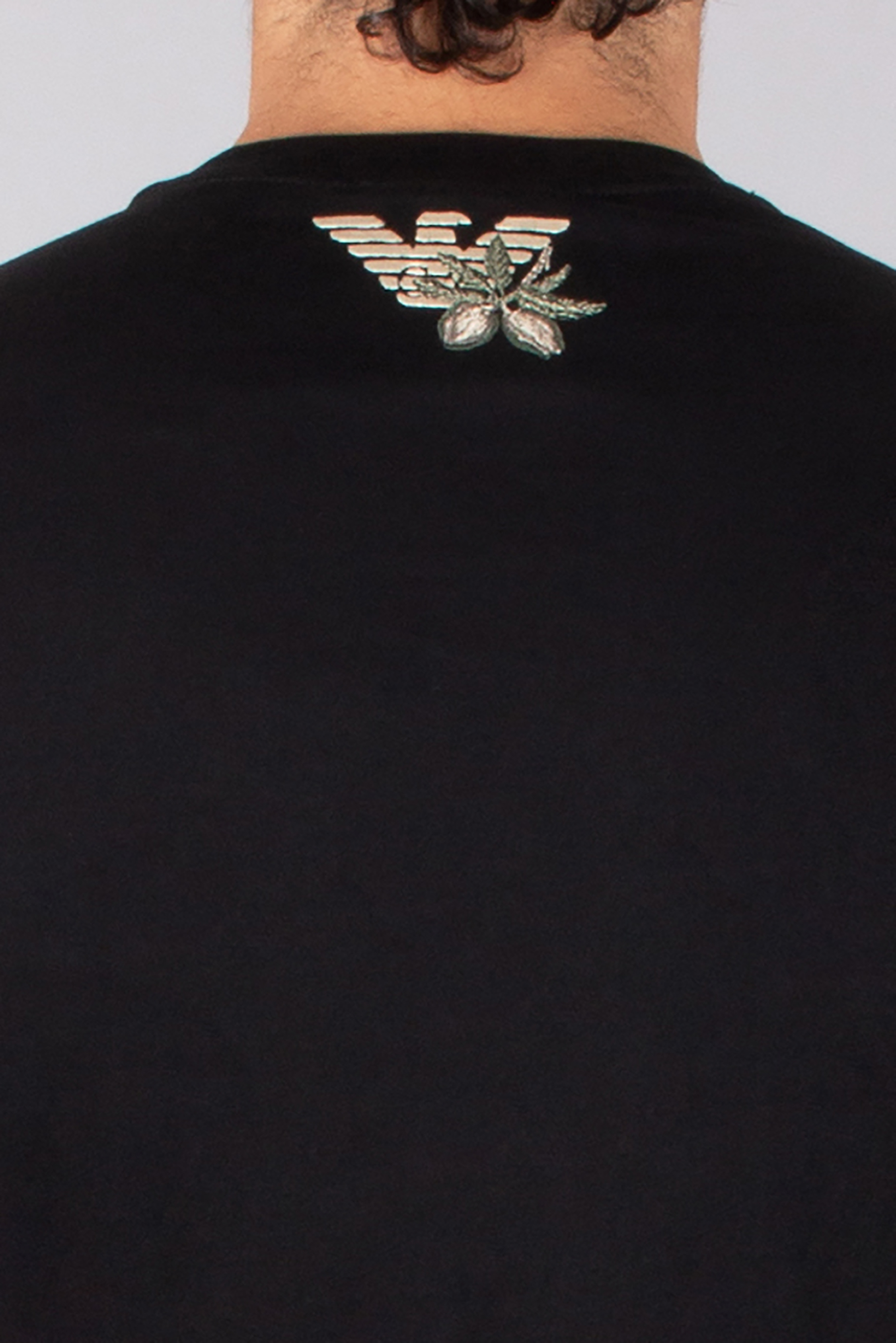 EMPORIO ARMANI Regular Fit Graphic Print & Embroidery Cotton Jersey T-Shirt Erwachsener, Männlich, Mann, Person, Zubehör