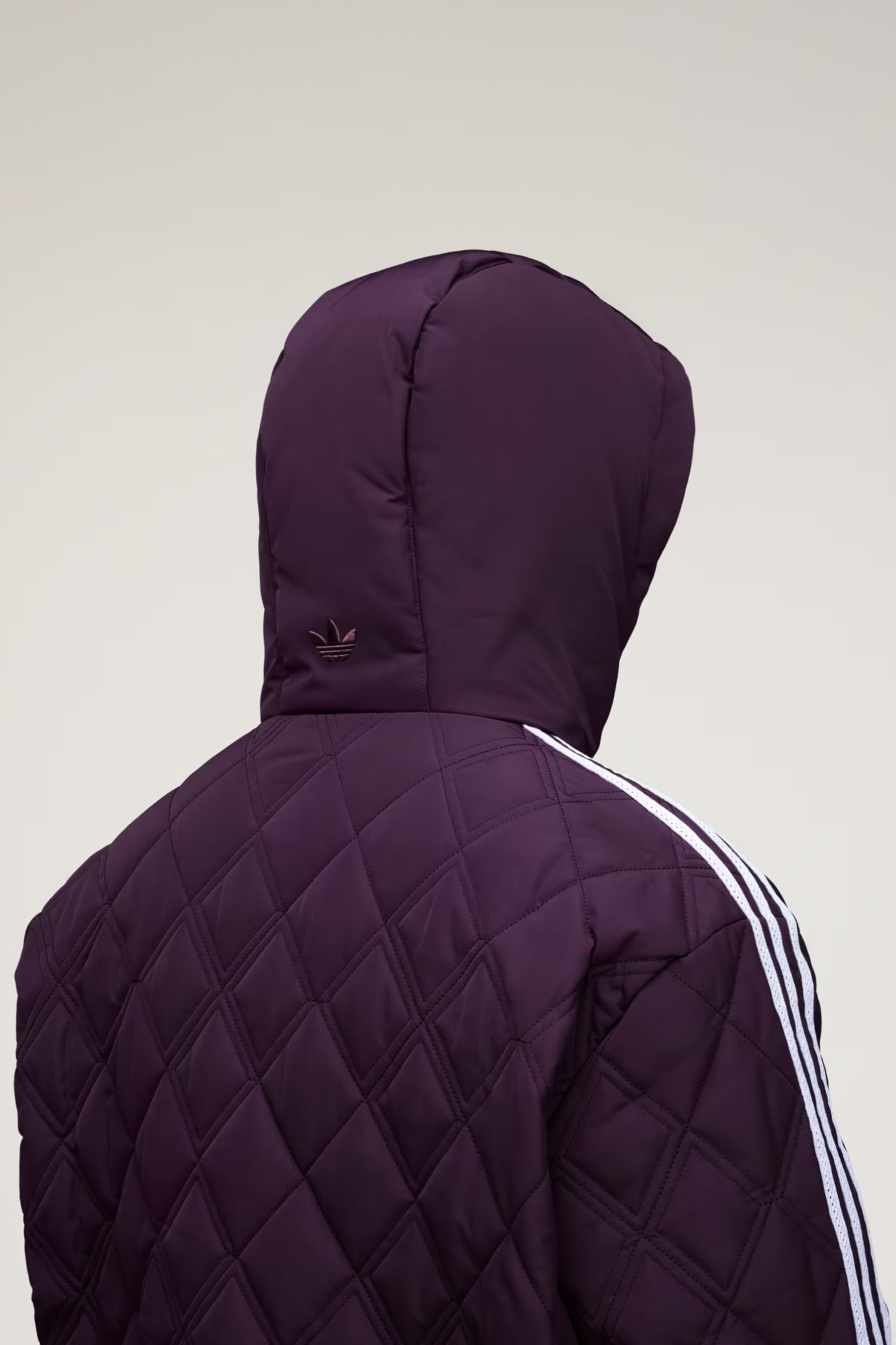 Bekleidung, Mantel, Jacke, Kapuze