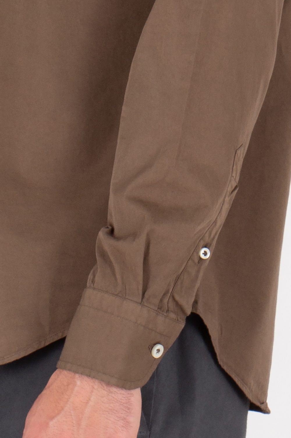 SONRISA Regular Fit Shark Collar Cotton Shirt