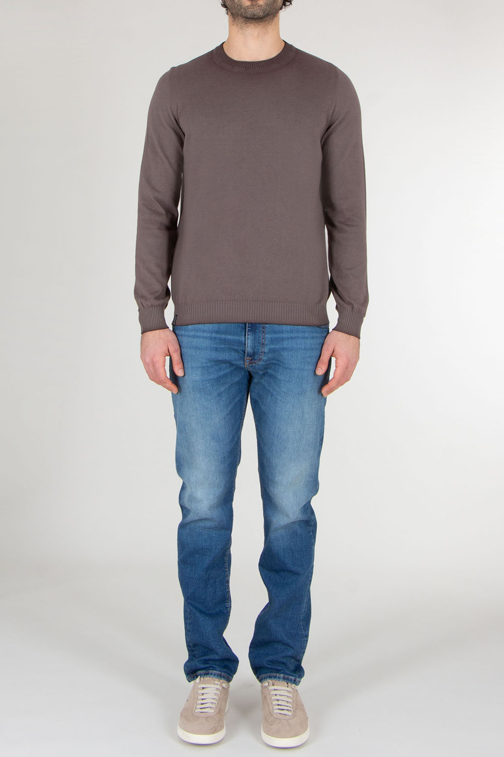 AROVESCIO Regular Fit Cotton Round Neck Sweater